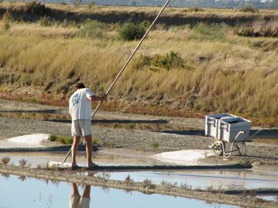Le sel fait-il grossir ?