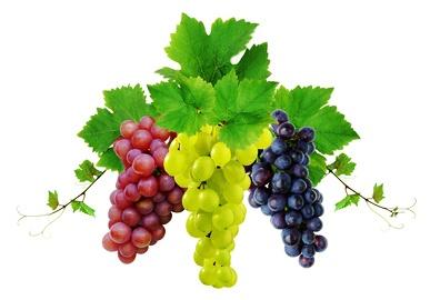 Le raisin et la vitamine A : clés anti graisse abdominale Le raisin et la vitamine A : clés anti graisse abdominale