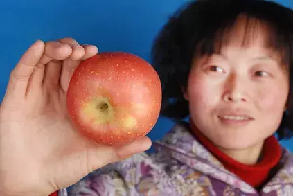 Dévorer des yeux ne fait pas grossir, profitez-en !